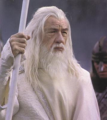 20090114110221-gandalfwhitelarge.jpg